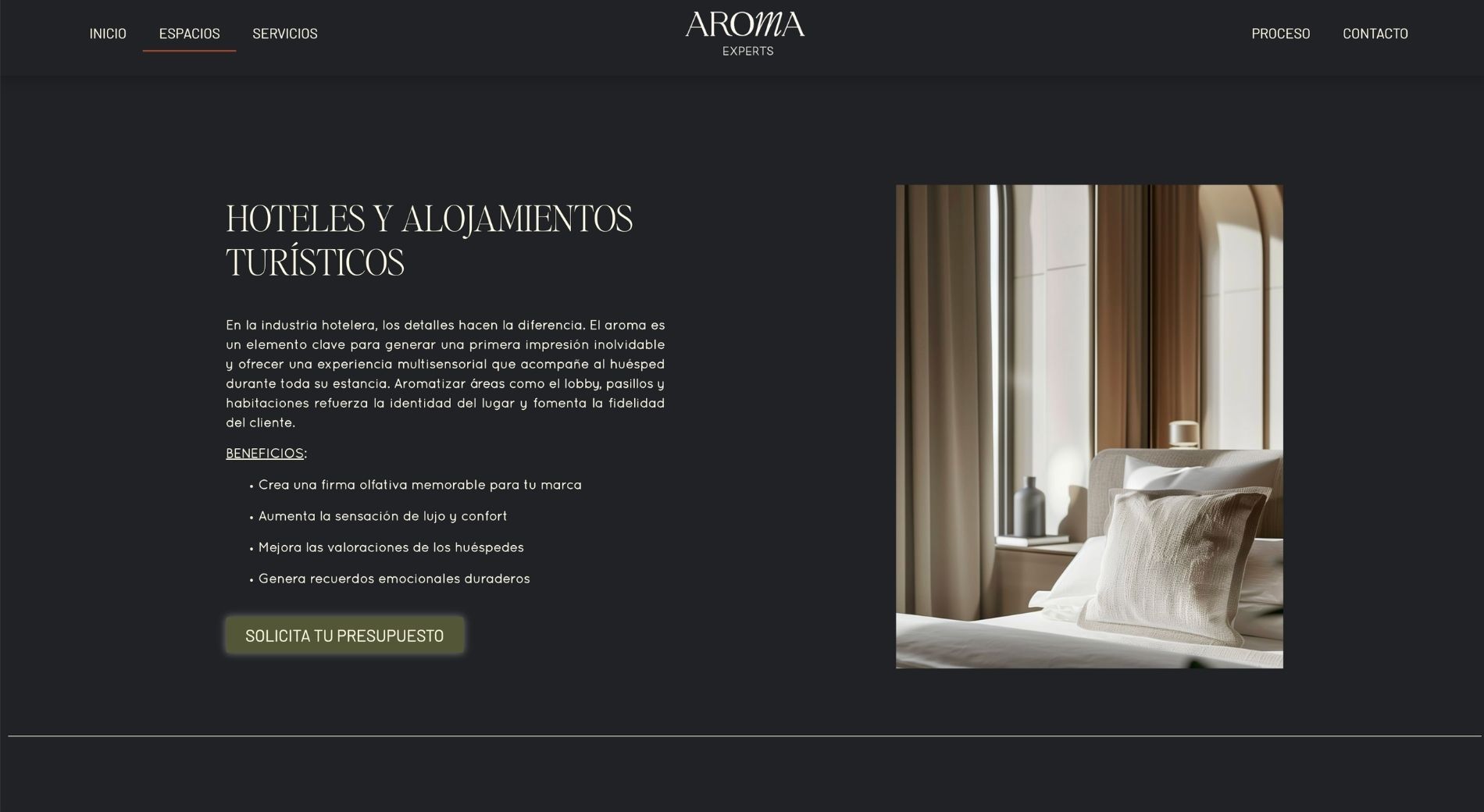 Proceso de diagnóstico aromático en la web de Aroma Experts